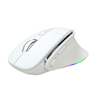 2.4g wireless mouse dual mode wired wireless horse light charging gaming mouse